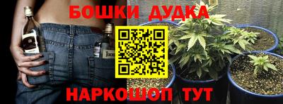 дмт Шелехов
