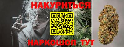 дмт Шелехов