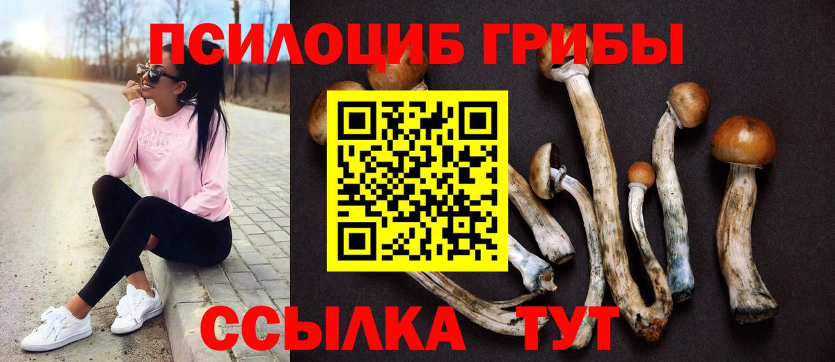 Галлюциногенные грибы MAGIC MUSHROOMS  Вход с VPN  Михайловск 